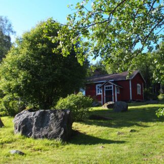 Kuvassa nurmipiha jossa kivi etualalla puita ja taustalla Rohelan torppa.
