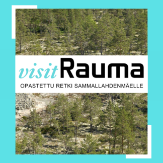 Opastettu retki Sammallahdenmäelle (9031008)
