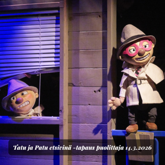 Tatu ja Patu etsivinä -tapaus puolittaja